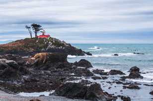 Lighthouse at Crescent City-0963.jpg